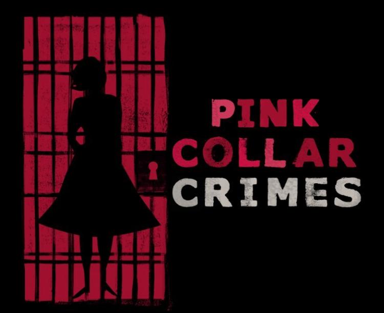 Pink Collar Crimes (2018)